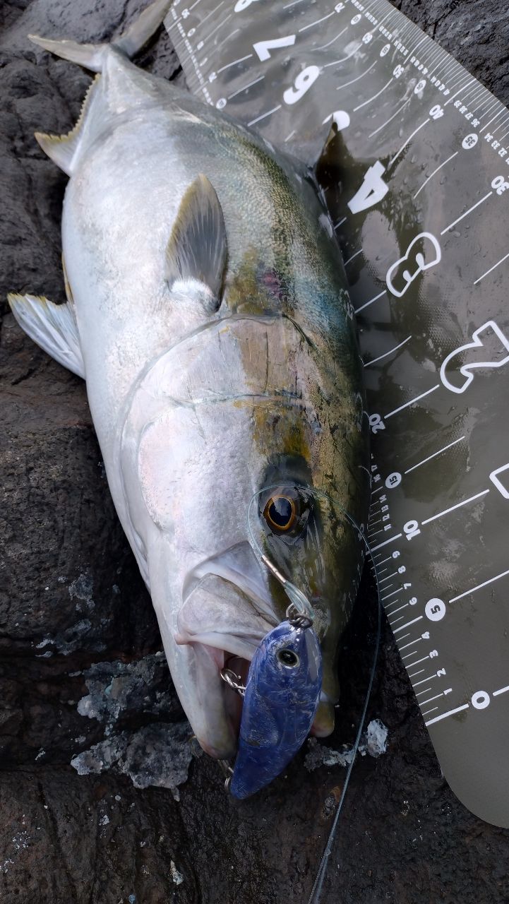 SHIMANO 22コルトスナイパー リミテッド S104XH/PSの最安値・インプレ