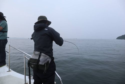 タチウオの釣果