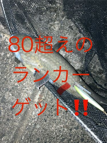 山口湾