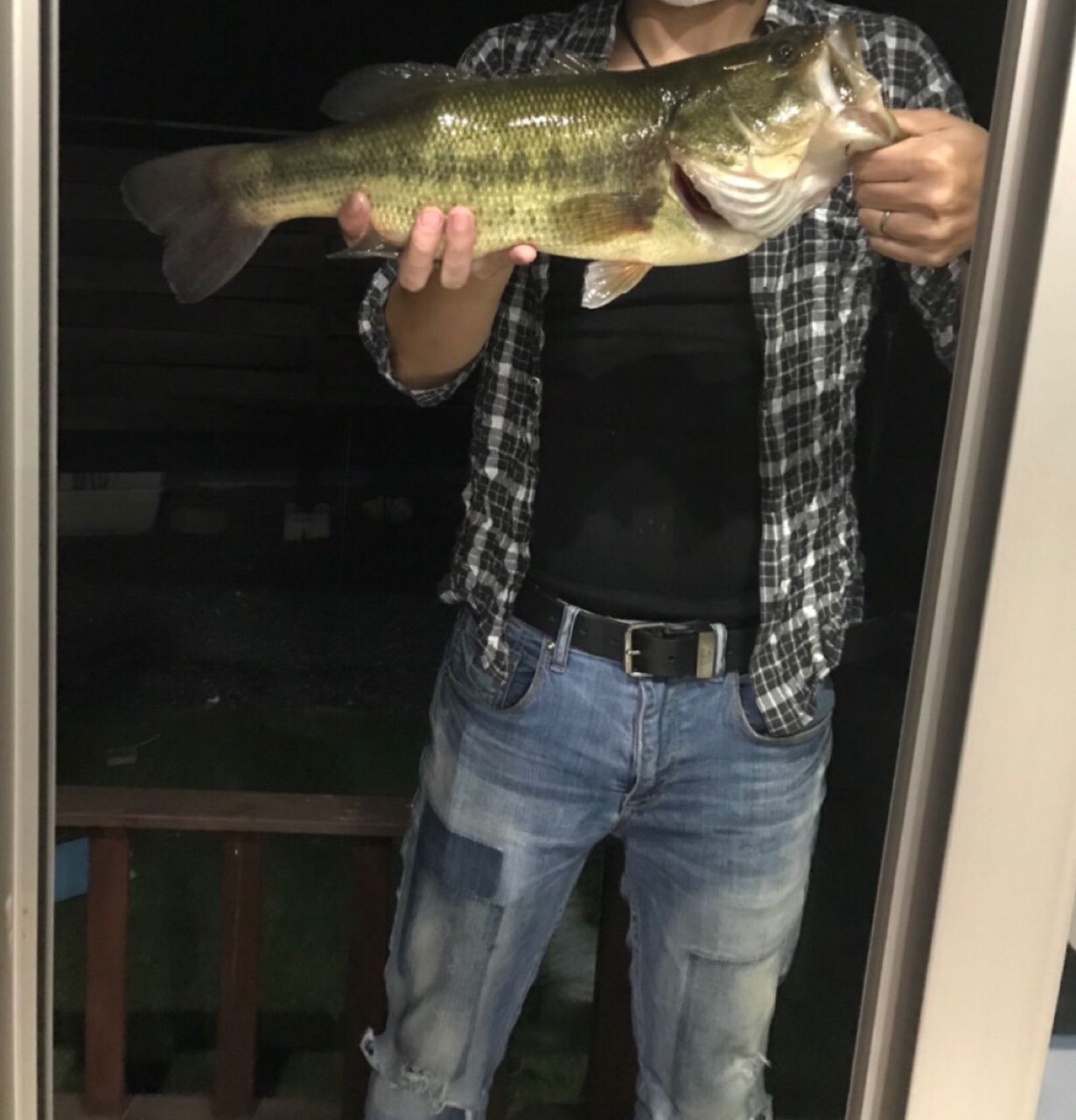 ラージマウスバス