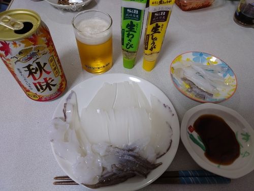 アオリイカの釣果