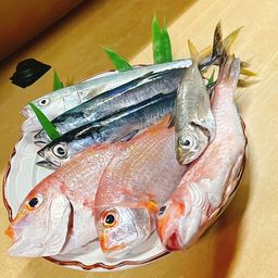 アカアマダイ