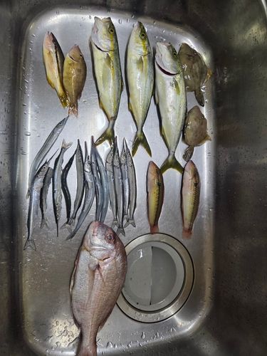 赤崎海水浴場