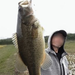 ブラックバス