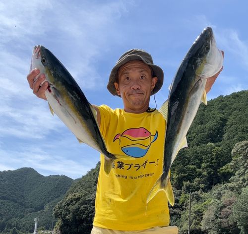 メジロの釣果