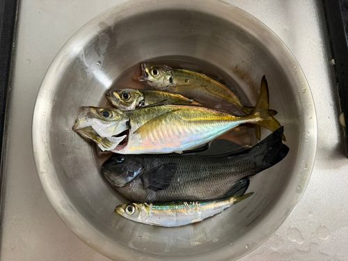 金沢水際線緑地（福浦岸壁）