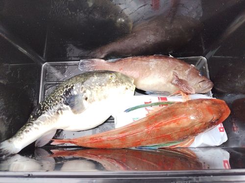 那珂湊沖
