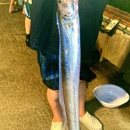 タチウオ