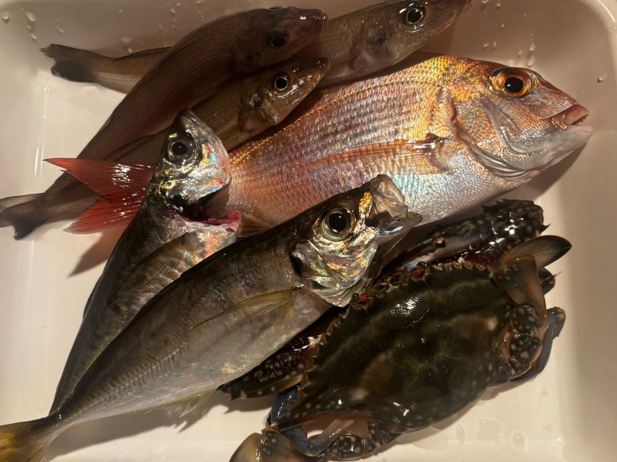 e.yさんの釣果 1枚目の画像