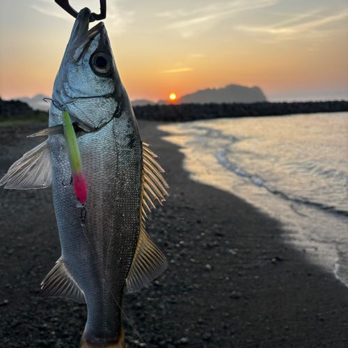 門川湾