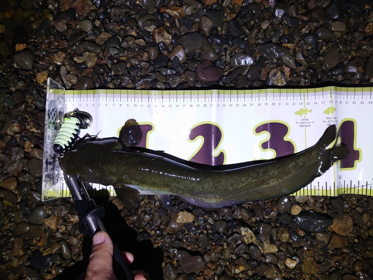 DAIWA 20リベリオン（センターカット2ピース スピニングモデル