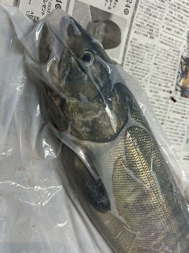 道北地方