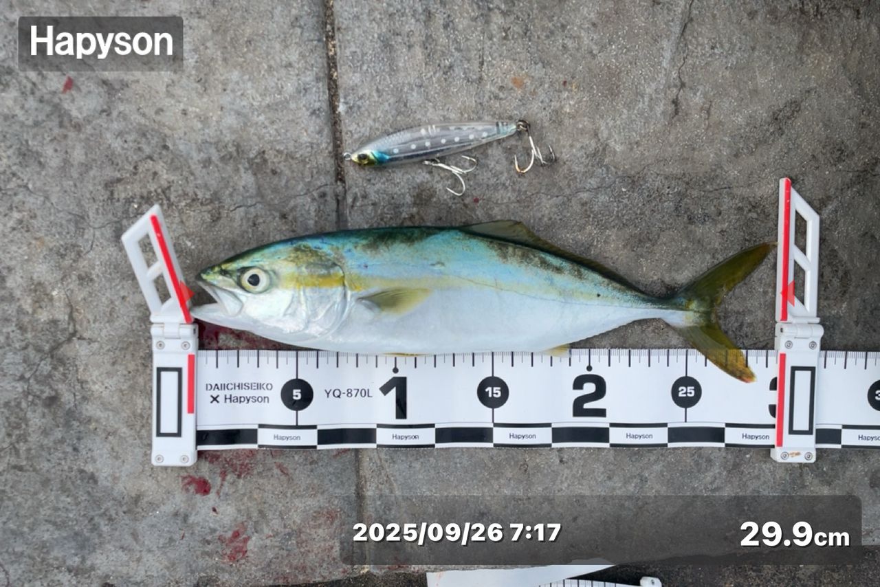 Gamakatsu ラグゼ コヨーテ S S100MHの最安値・インプレ・釣果 | 本音