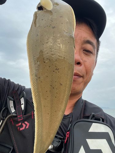 釣川河口