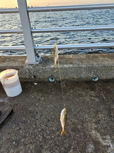 検見川浜突堤