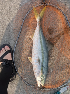 釣果