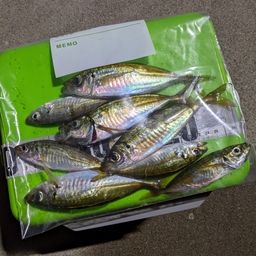 アジ