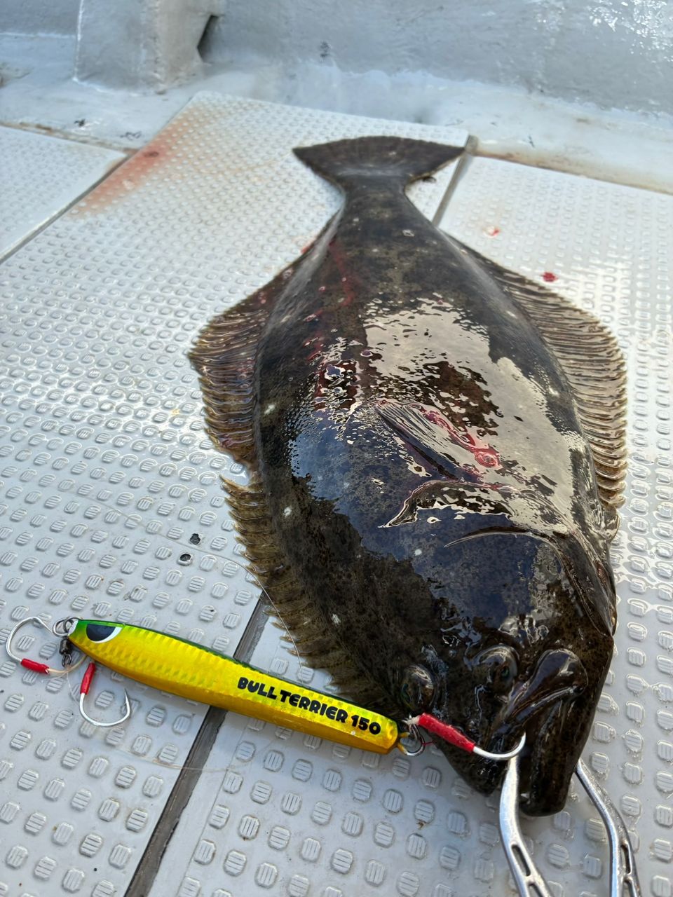 オフショアLOVEさんの釣果 2枚目の画像