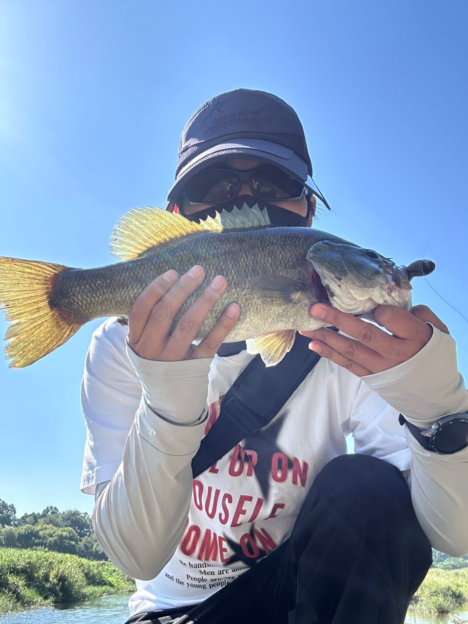 ラージマウスバス