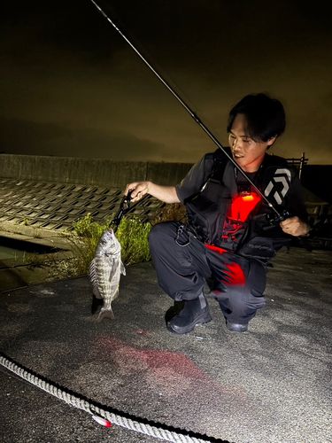 庄内湖