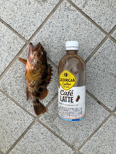 広島湾