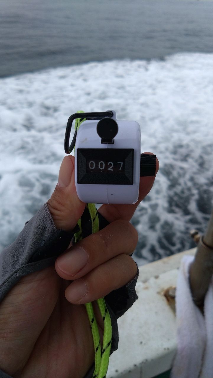 toshikun1970さんの釣果 2枚目の画像