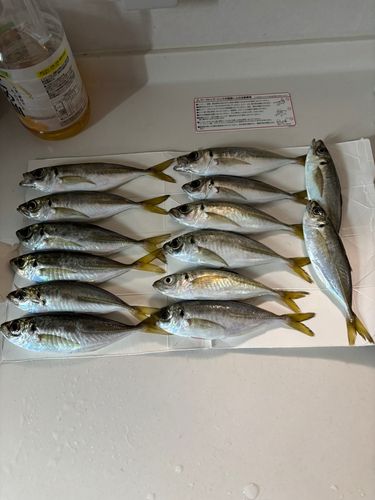 貝塚人工島