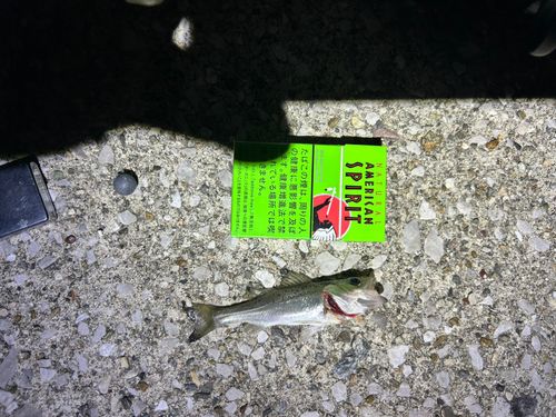 武豊緑地