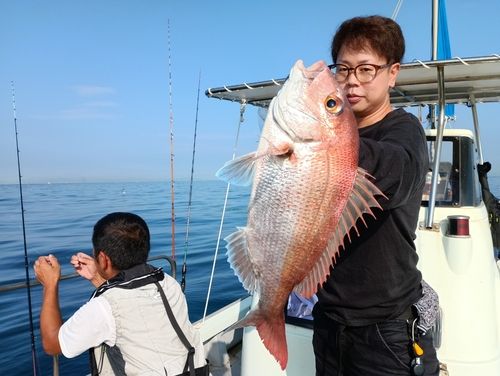 マダイの釣果