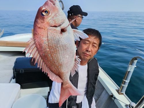 マダイの釣果