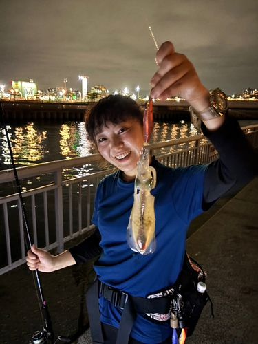 イカの釣果