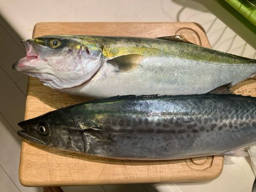 伊勢湾