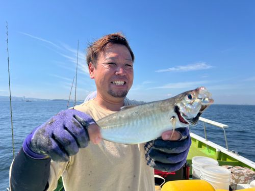 マアジの釣果
