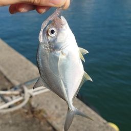 メッキ
