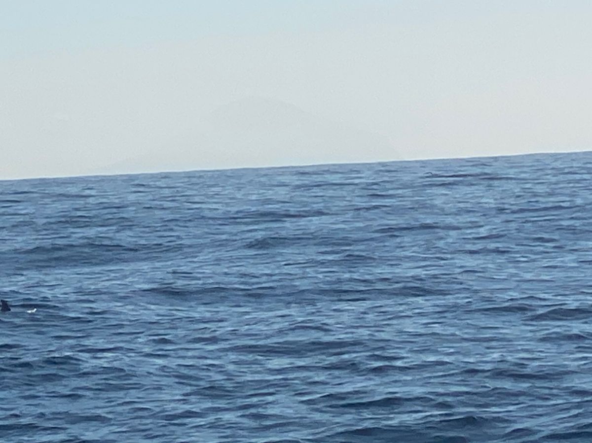 オトコマエさんの釣果 3枚目の画像