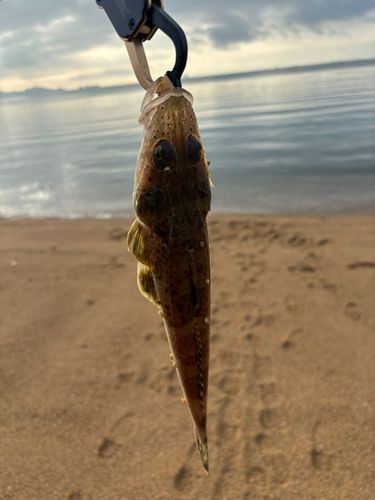 しまなみ海道