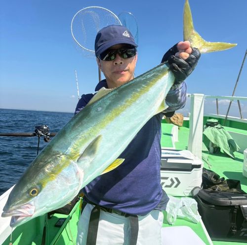 ワラサの釣果