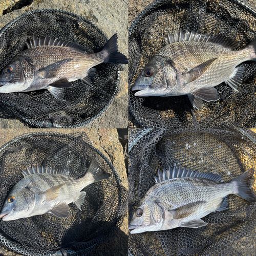 浜名湖