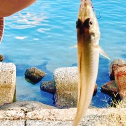 キス