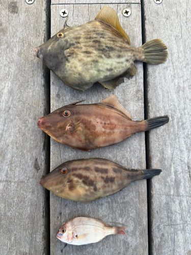 小名浜港アクアマリンふくしま周辺