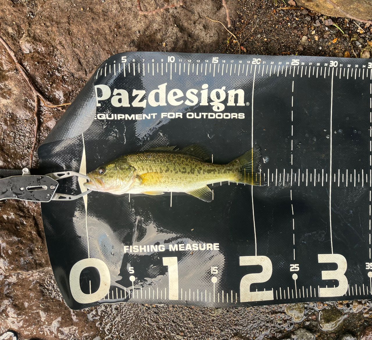 リベリオン　REBELLION 662MLRB DAIWA 20リベリオン（センターカット2ピース スピニングモデル