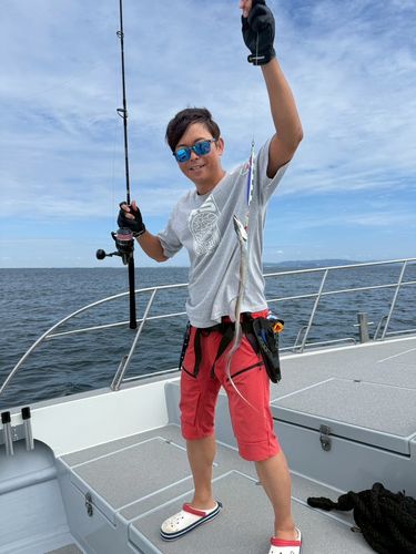 タチウオの釣果