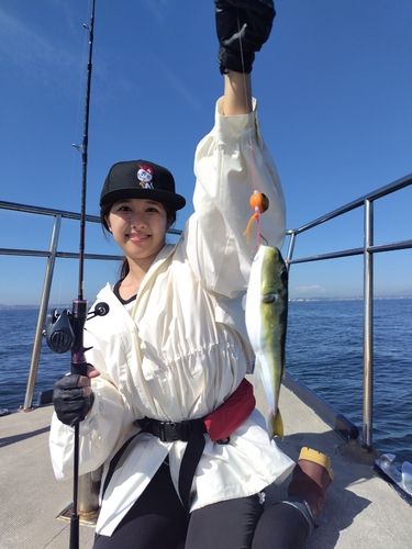 フグの釣果