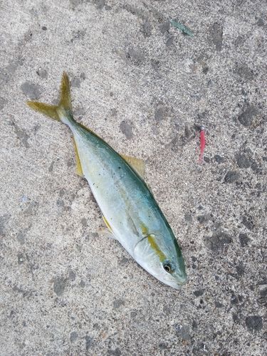 下北半島