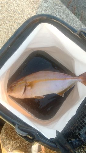 松ヶ浜漁港