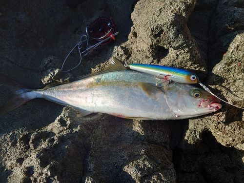 瀬波海岸