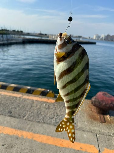 江ノ島