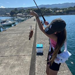 オオモンハタ