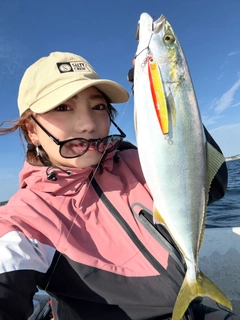 イナダの釣果
