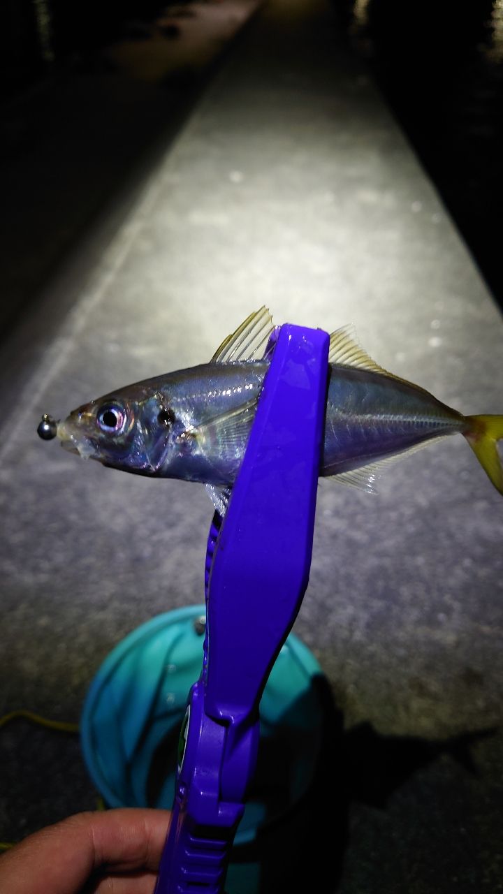 AbuGarcia ソルティーステージ プロトタイプ アジング XAJS